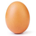 egg_575x300_1