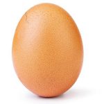 egg_575x300_2