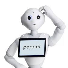 Pepper – Pluginbot