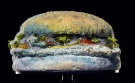 moldy whopper