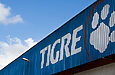 Tigre faz alerta para se diferenciar do “Tigrinho” nas redes sociais