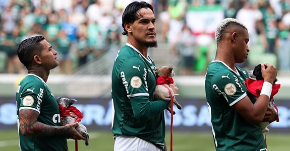 Palmeiras e Mars Petcare se unem em mais uma parceria contra os maus-tratos animais (Crédito: Divulgação)