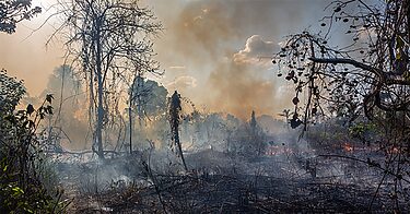 Andrea Alvares: “As empresas já sabem os efeitos da crise climática nos negócios”