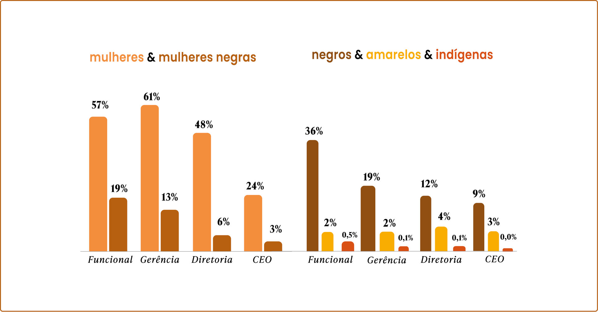 Dados sobre a etnia e gênero das pessoas entrevistadas nas pelo censo 2024