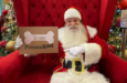 PremieRpet promove encontros de Natal para pets em shoppings