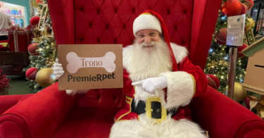 PremieRpet promove encontros de Natal para pets em shoppings