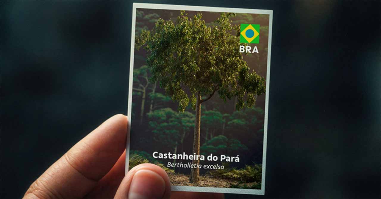 Vale lança álbum de figurinhas da COP para destacar biodiversidade