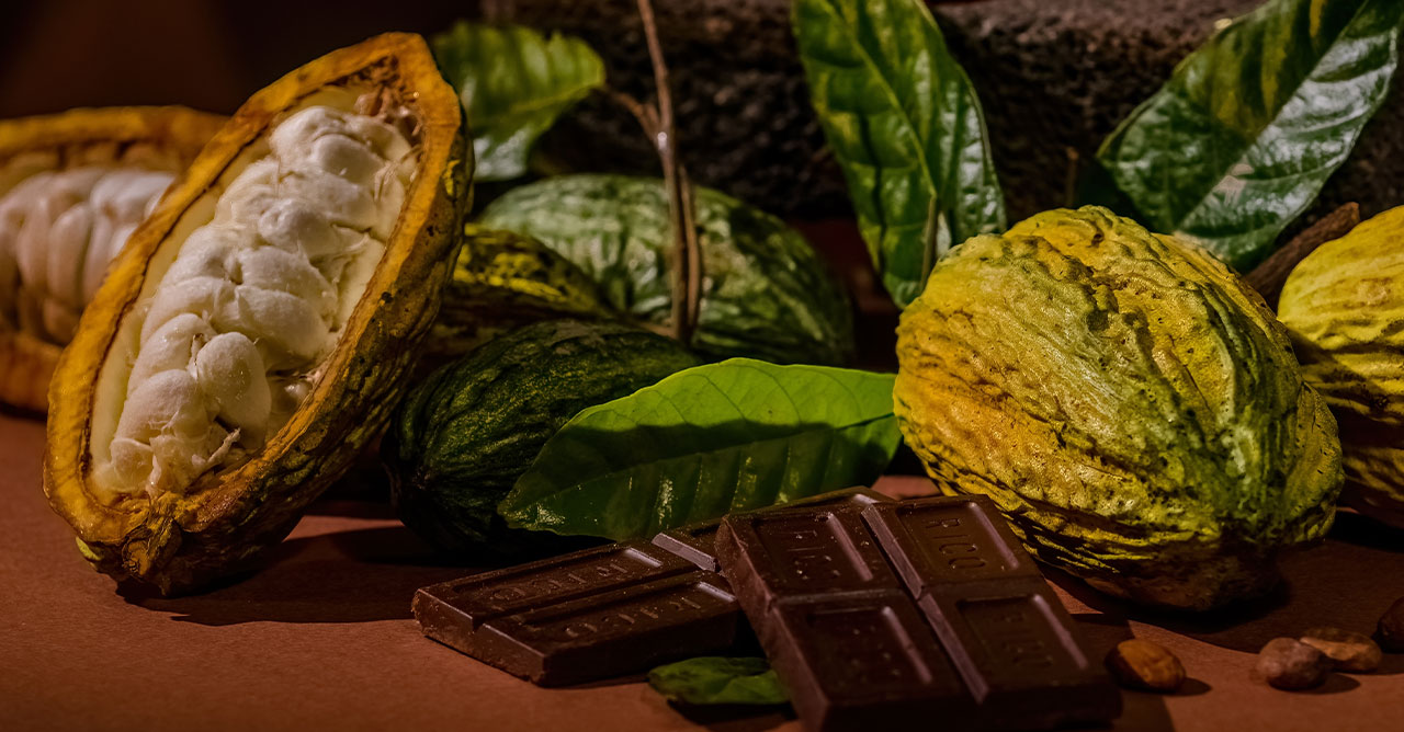 Cacau, principal matéria-prima para produção do chocolate, continua sofrendo com a alta dos preços por causa de uma crise que afeta principalmente as plantações na África